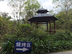 -南宁良凤江国家森林公园