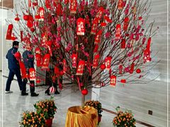 -菠萝国际教育专注Alevel·IGCSE·IB·AP·托福雅思培训辅导(静安校区)