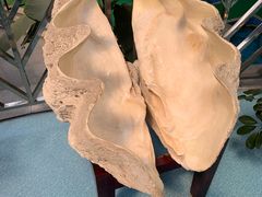 -北国之春国宴(乌兰察布店)