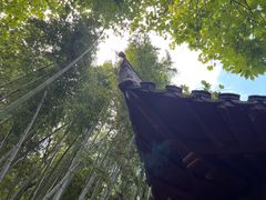 -秋霞圃