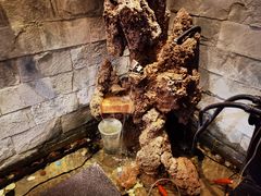 -鹤一烤肉自助餐厅(中关村店)