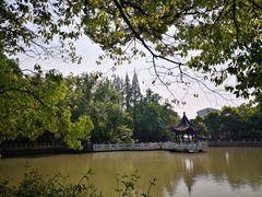 -汇龙潭
