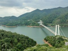 -酒仙湖景区