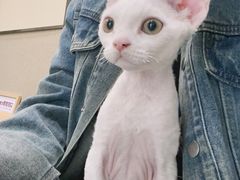 -爱派特动物医院·全科诊疗中心