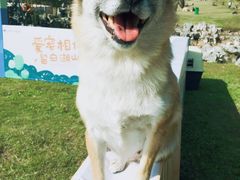 -雨花胜境