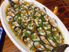 -呼吸森林·生态农庄农家乐私房菜