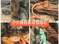 -开元商城(西旺店)