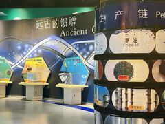 -中国杭州低碳科技馆