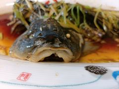 四孔黄河红尾鲤鱼-燕喜堂·中华老字号(大明湖店)