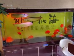 -舞指仙境港派足浴指压(金龙国际店)
