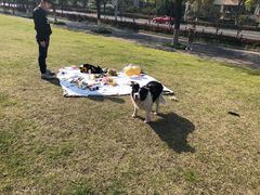 -维也纳国际酒店·江苏苏州火车站北广场店