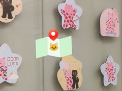 -有喵·猫咖·狗咖·30几只猫10只小狗(岗厦店)