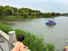 -八大山人梅湖景区