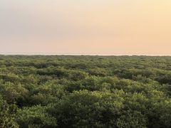 -北海金海湾红树林生态旅游区