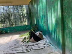 -杭州野生动物世界
