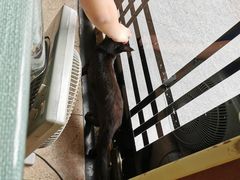 -洪齐林老镇