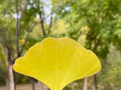 -滨河世纪广场公园