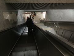 -上海游泳馆(地铁站)