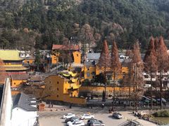 -九华山聚龙大酒店