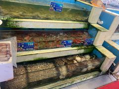 水产区-旺富东海大酒楼(海鲜街店)