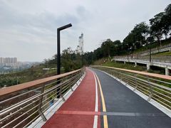 -大渡口区义渡公园