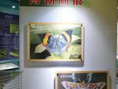 -上海昆虫博物馆