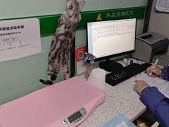 -半岛宠物医院24小时(科华中路店)