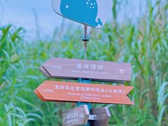 -东极岛景区-青浜岛