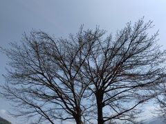 -白帝城·瞿塘峡景区