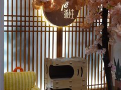 -猫小主咖啡·猫咖cat cafe(福田店)