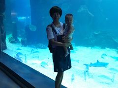 -石家庄海洋公园