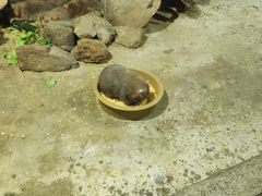 -青青世界