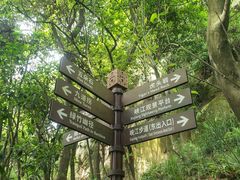 -铁山坪森林公园