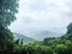 -莫干山风景区