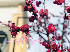 -锡师附小学(学前街校区)