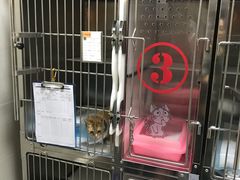 -芭比堂动物医院·犬猫全科·异宠专科(雁塔分院)