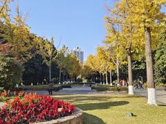 -苏州河梦清园环保主题公园