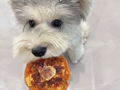 -达爱动物医院·犬猫分区·CT·复杂眼科(远洋山水分院)