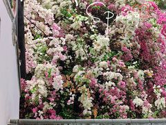 -深圳国际园林花卉博览园