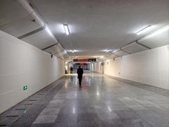 -塘沽站