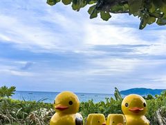 -三亚亚龙湾天域度假酒店