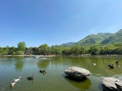 -西安秦岭野生动物园