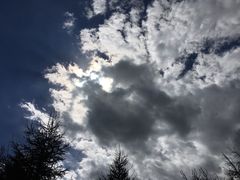 -空中草原