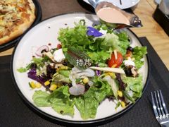 牛油果鲜奶酪沙拉-清真·艾美可餐厅(大悦汇店)