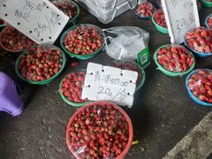 -江杨农产品批发市场