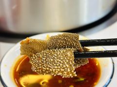 -刘少华贵州小黄牛·鲜牛肉火锅(总店)