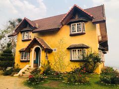 -黄色小屋