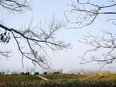 -南京市江宁方山