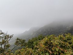 -丹东市五龙山风景区