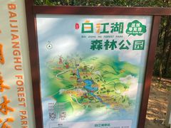 -广州白江湖森林公园